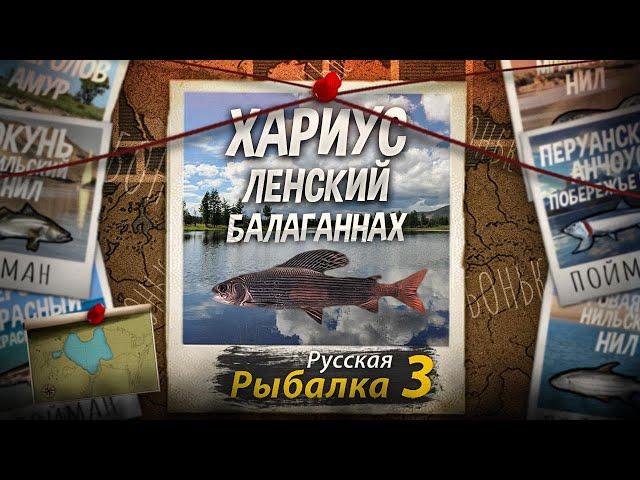 "Мутант" Ленский Хариус. Балаганнах. Русская Рыбалка 3.