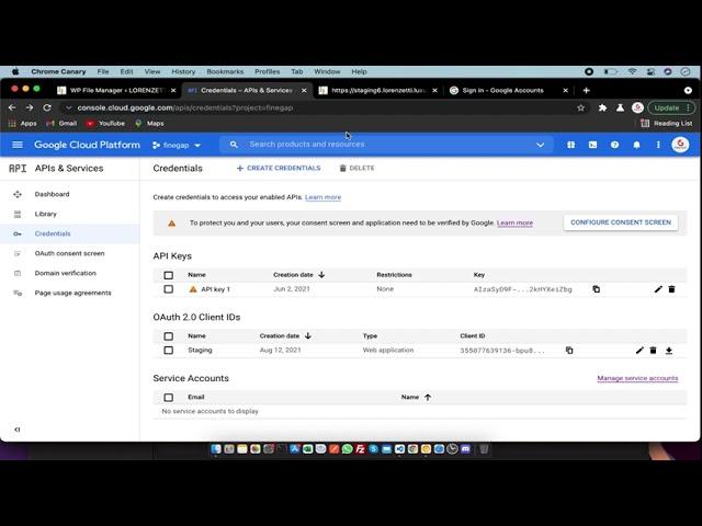 How to fix redirect uri mismatch error | Google API's