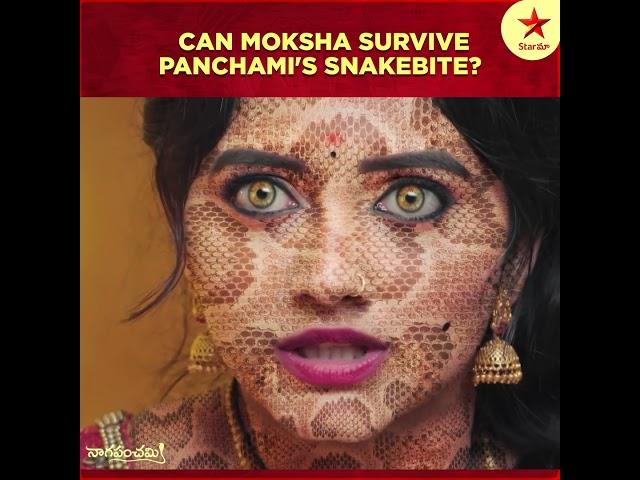 Curious about Moksha's fate | Naga Panchami | Star Maa Serial | Star Maa