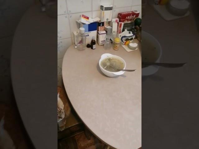 Очень важный кот сел обедать
