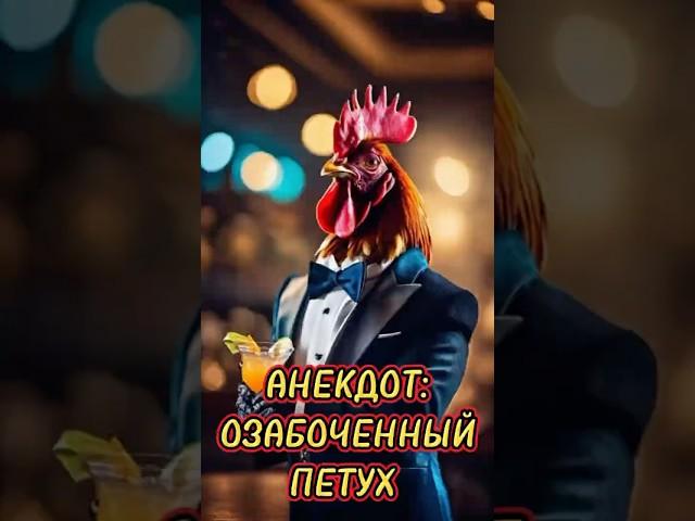 Свежий анекдот 2025 про петуха #анекдот #свежий #2025 #юмор #прикол #анекдоты #смешные #петух