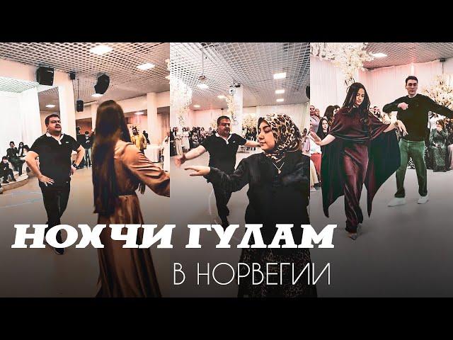 НОХЧИ ГУЛАМ В НОРВЕГИИ | Встреча Чеченцев в Европе