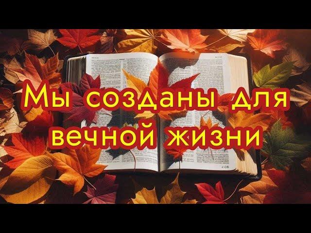 Мы созданы для вечной жизни