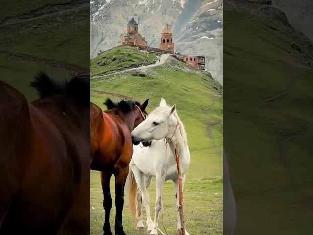 По сути СЧАСТЬЕ в мелочах...../ автор Макс Виноградов/ #стихи #стихиожизни #поэзия