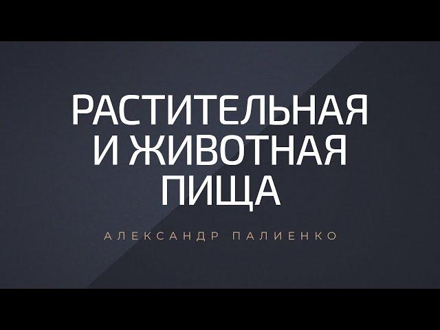 Растительная и животная пища. Александр Палиенко.