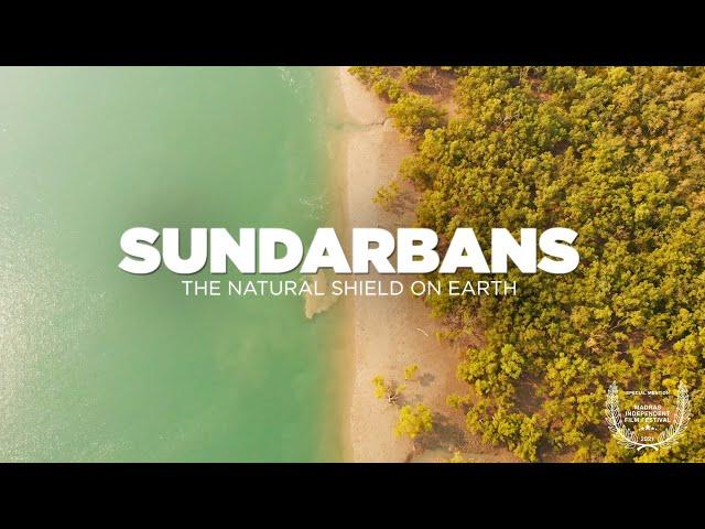 SUNDARBAN Tour - The Natural Shield on Earth | Sundarban National Park Delta - Sundarban Documentary