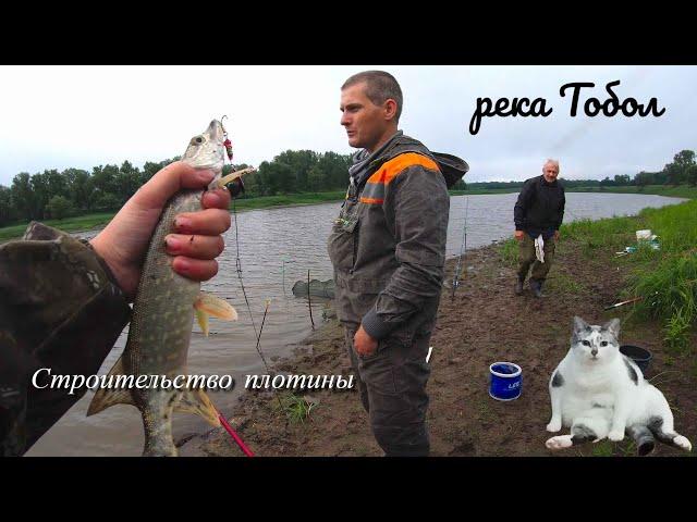 Мостострой. Рыбалка на реке Тобол. Щука на спиннинг.Рыбалка Тюмень. Старицы и притоки Тобола.