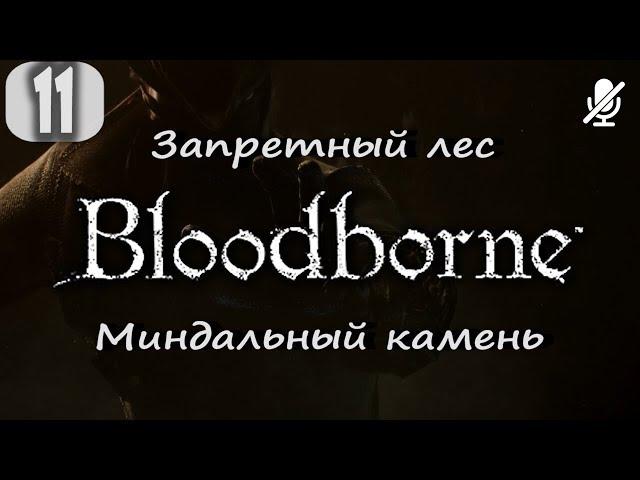 #11 Bloodborne / Запретный лес Миндальный камень