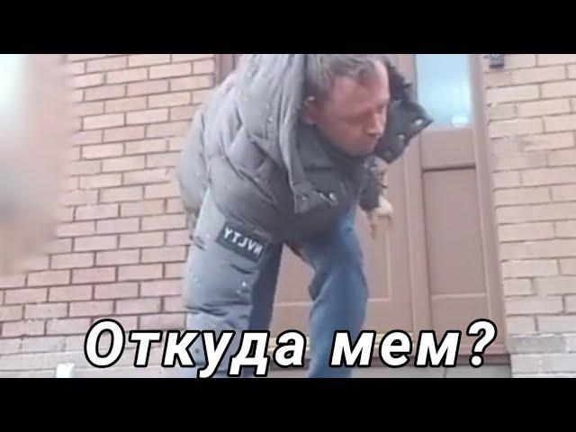 Хелоу мир, манера крутит мир  - откуда мем?