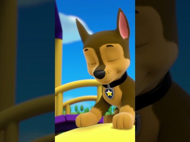 Chase and Skye playing tag - Paw patrol