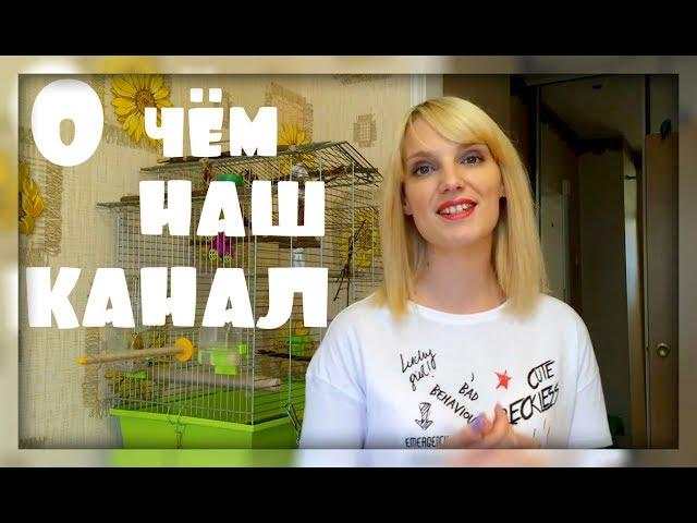 О чем наш канал