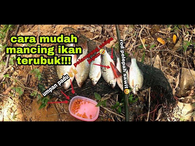 GUNA ROD PELEPAH SAWIT PON BOLEH GENGG  #VLOG 32