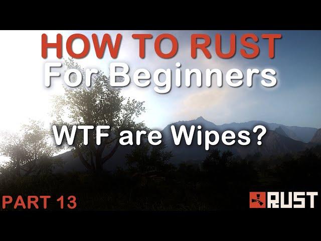 Rust for Beginners - Quick guide to Wipes