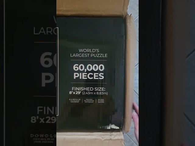 Worlds Largest Puzzle 60,000 Pieces! #worldslargest  #puzzle #shorts #jigsawpuzzle