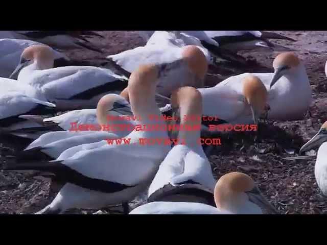 Проверка