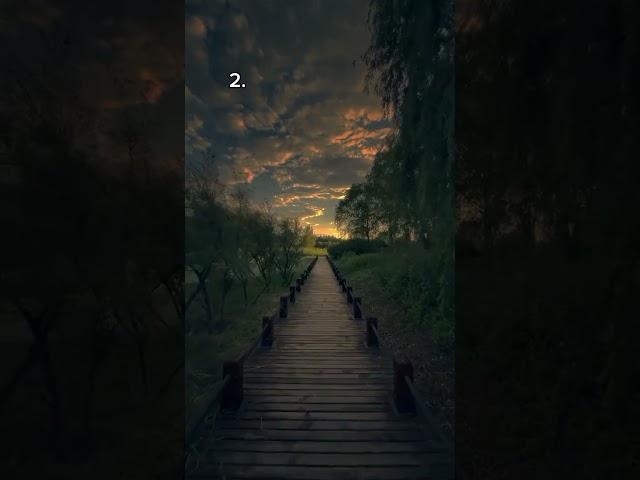Which Path Would You Take? #shorts #aesthetic #nostalgia #shortfeed