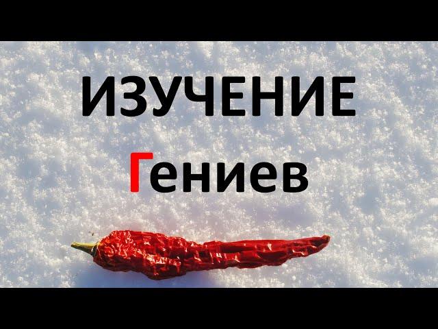 ГЕНИИ: ИЗУЧЕНИЕ / ИССЛЕДОВАНИЕ Творчества