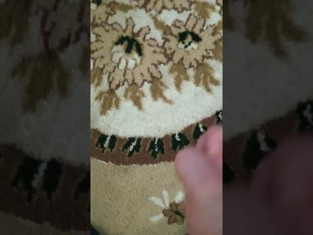 Многие мастера не умеют чистить на дому ковры! Учитесь - учение свет! Главное знать как обеспылить!!
