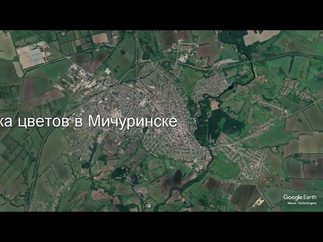 Доставка цветов в Мичуринске - Заказ букетов от компании Скорая подарочная помощь