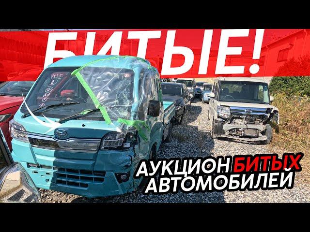 ВСЯ ПРАВДА О БИТЬЕ ИЗ ЯПОНИИАУКЦИОН БИТЫХ АВТОКАК РАЗБИРАЮТ АВТОМОБИЛИ⁉️ГДЕ ЯПОНЦЫ БЕРУТ ЗАПЧАСТИ