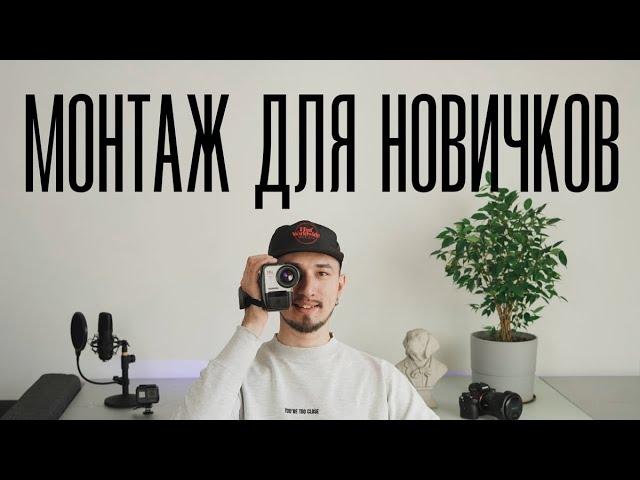 Как быстро смонтировать видео? Базовый видеомонтаж