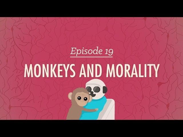 Monkeys and Morality: Crash Course Psychology #19