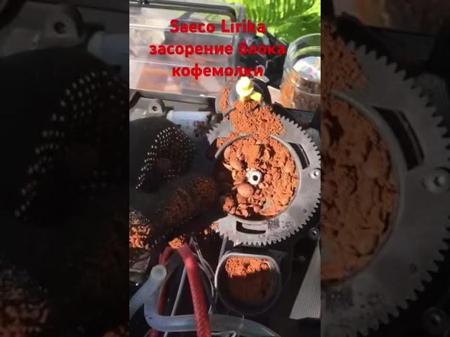 Блок кофемолки необходимо разобрать и очистить.