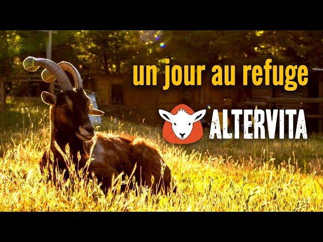 Un jour au refuge - Altervita