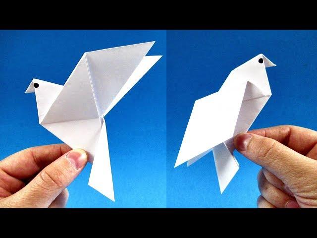 How to Make a Paper Dove Symbol of Peace  Easy Tutorials