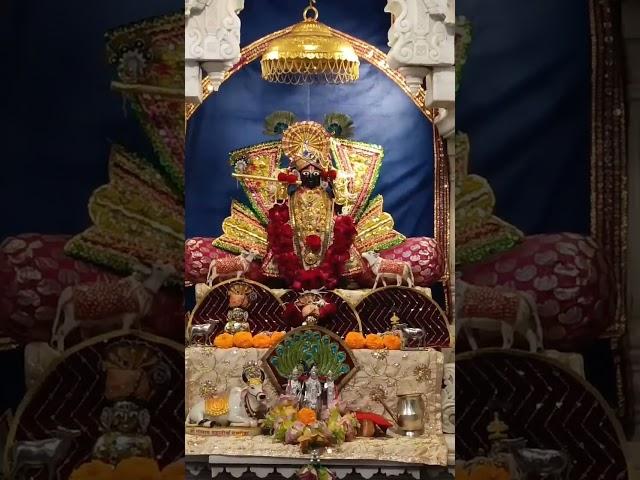 Jai ranchhodrai#ranchhodrai#krishnamantra #krishna #jagannath #temple #viralvideo
