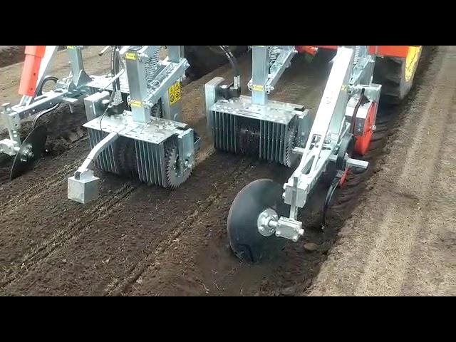 bineuse for carottes carrots weeding hoeing machine cultivadora para zanahoria, weeder, sarchiatrice