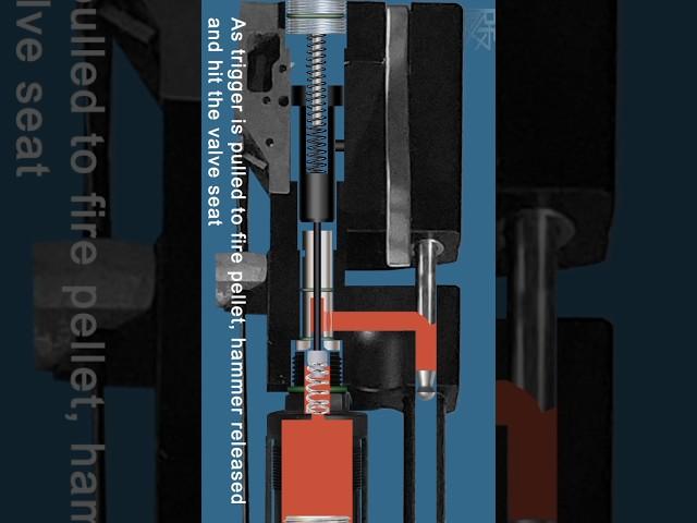 How PCP P15 Works #PCP #AIRGUN