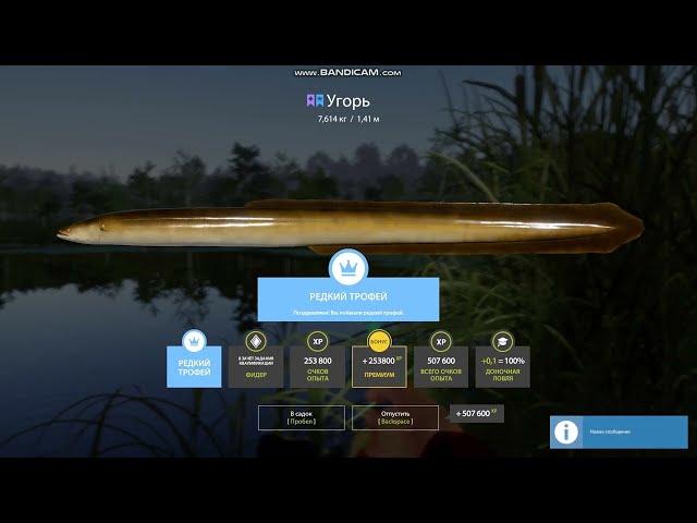 Мировой рекорд. Угорь редкий трофей. Старый острог РР4