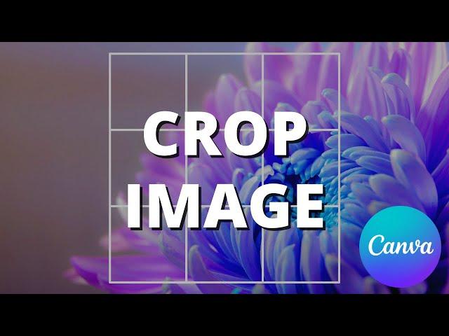 How to crop an image online using Canva (step by step)