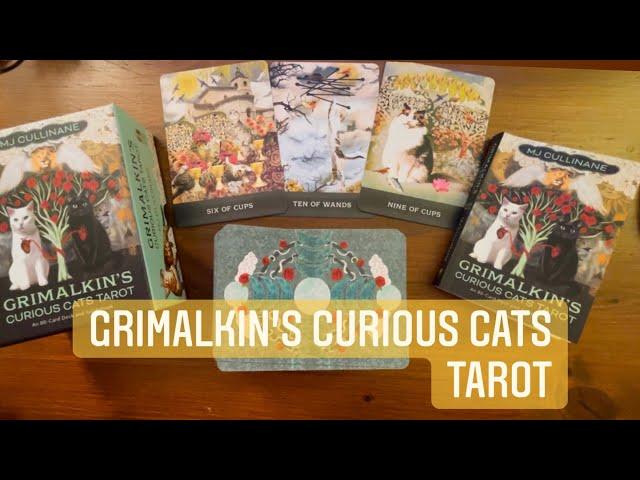 Grimalkin’s Curious Cats Tarot | Full Flip Through