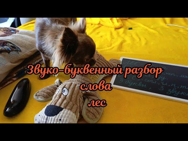 Звуко-буквенный разбор слова лес