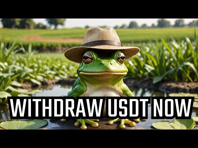 How to Withdraw USDT from Frog Farm & Avoid Getting Rugged