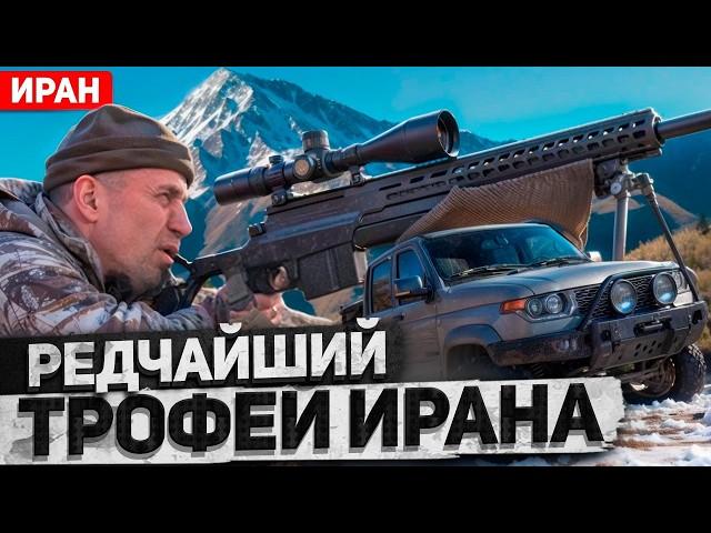 Трофейная охота в Иране 5. Красный баран (2024) [4K]