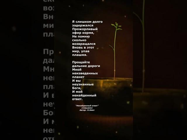 #стихи #поэзия #poetry #наталиният