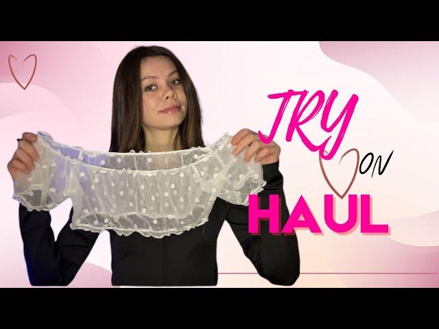 Lisa Fox Try-On Haul  | Two T-shirt 