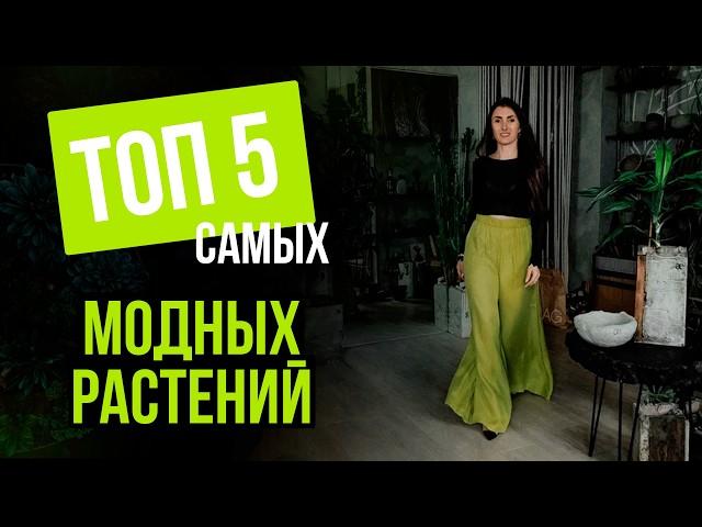 ТОП 5 модных и трендовых растений/Эти растения способны украсить и домашний и коммерческий интерьер