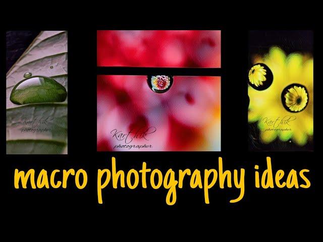 3 Macro photography ideas with water drops ||  #photographer #macro photography #creative photos