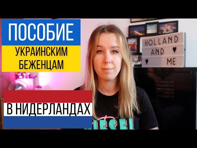 Денежное пособие и работа для украинских беженцев в Нидерландах.