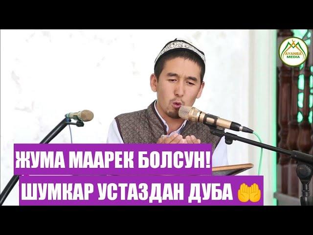 ЖУМА МААРЕК БОЛСУН/Аллах дубаларыбызды кабыл кылсын. Устаз Шумкар @ayanba_media