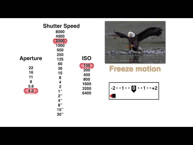 How to Pick the Best Aperture, Shutter Speed and ISO Settings with John Greengo | CreativeLive