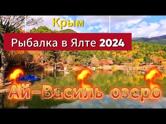 ▶️ Рыбалка в Ялте / Озеро Ай Василь / Карп, карась.Крым рыбалка 22 ноября 2024