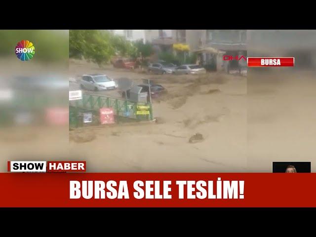 Bursa sele teslim!