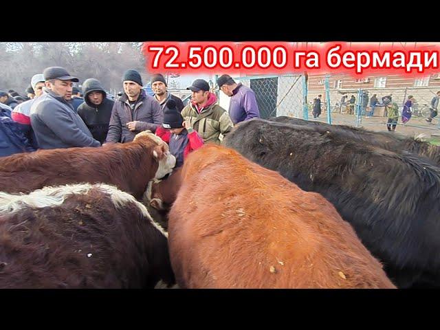 СУРХОНДАРЁ УЗУН ЯКШАНБА МОЛ БОЗОРИ