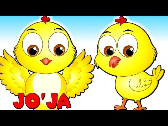 Joja Жужаларим Узбекча | Bolalar qo'shiqlari / Болалар учун кушиклар | Small Chicks Rhyme in Uzbek