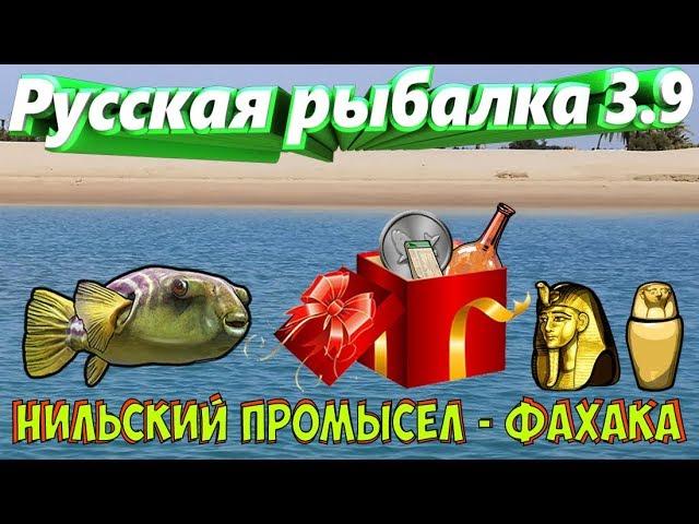 Русская рыбалка 3.9.  Нильский промысел.  Фахака.